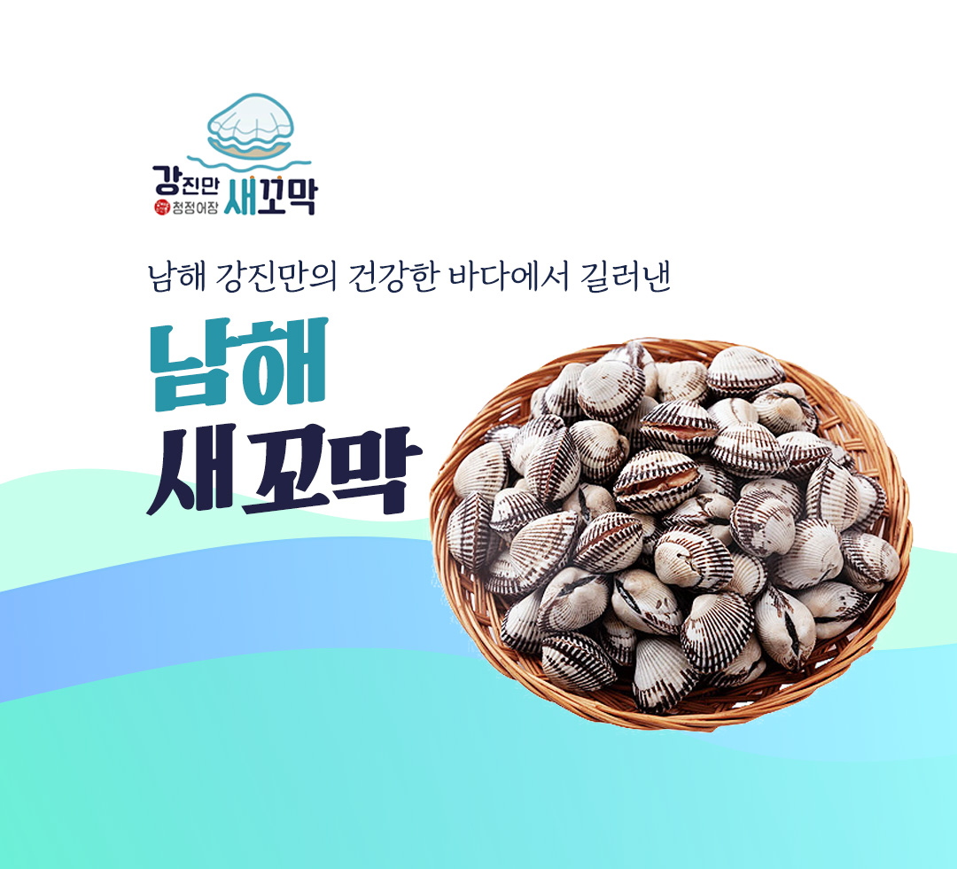 강진만 새꼬막