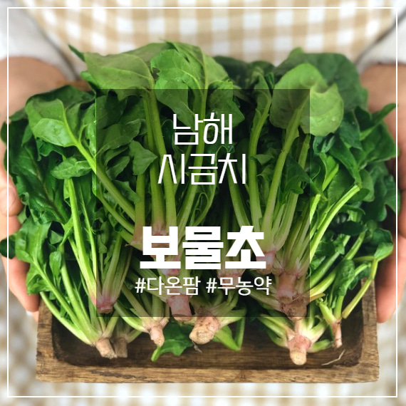 [다온팜] 친환경 무농약 남해시금치 (1kg)