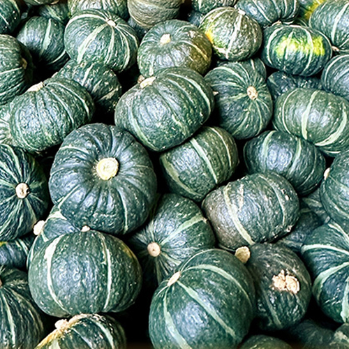 [ݼ۳] ̴ϴȣ 10kg