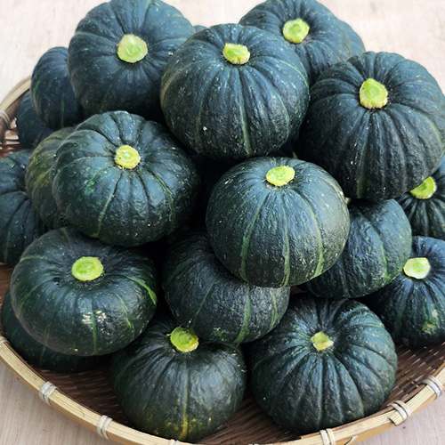 [남해사계절] 미니 단호박 3kg,5kg